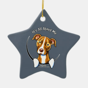 Ornamento De Cerâmica Pitbull:: É toda sobre mim