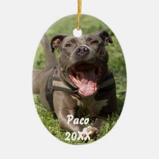 Ornamento De Cerâmica Pitbull na grama