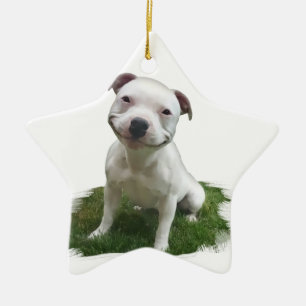 Ornamento De Cerâmica Pittie de sorriso