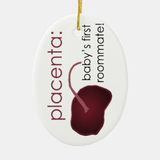 Ornamento De Cerâmica placenta, o primeiro companheiro de quarto do bebê