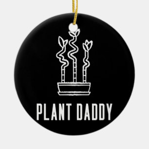 Ornamento De Cerâmica Planta Pai Lucky Bamboo 