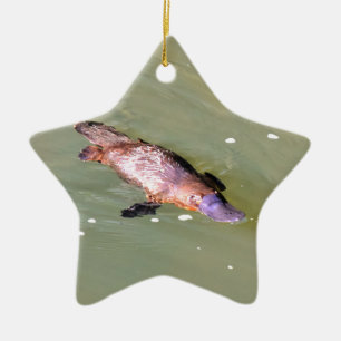 ORNAMENTO DE CERÂMICA PLATYPUS NA ÁGUA EUNGELLA AUSTRÁLIA