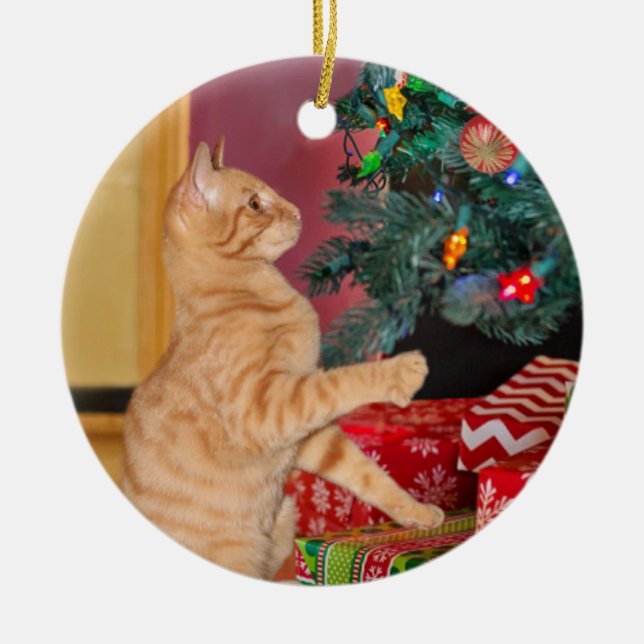 Ornamento De Cerâmica Playful Orange Tabby Christmas (Frente)