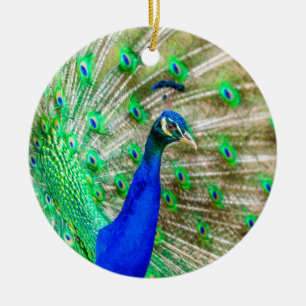 Ornamento De Cerâmica Plumagem de Peacock
