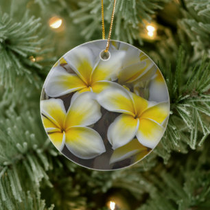 Ornamento De Cerâmica Plumeria Havaiana Pétala Macia