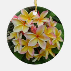 Ornamento De Cerâmica Plumeria havaiano