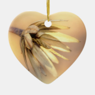 Ornamento De Cerâmica Pod de Semente Vazio de Placa de Tulipa