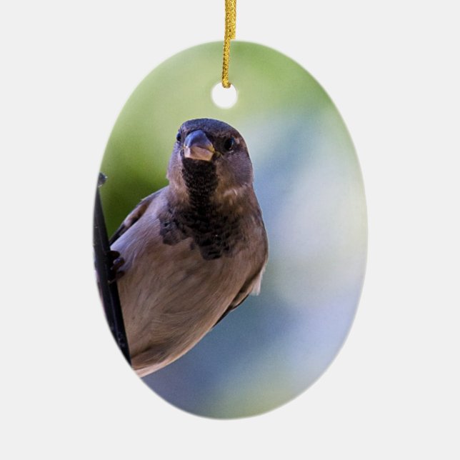 Ornamento De Cerâmica Pode Disparar Um Momento? (Frente)