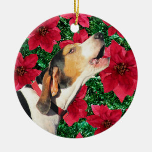 Ornamento De Cerâmica Poinsétias do Coonhound do caminhante de Treeing