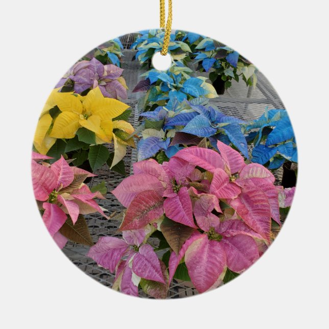 Ornamento De Cerâmica Poinsettia (Frente)