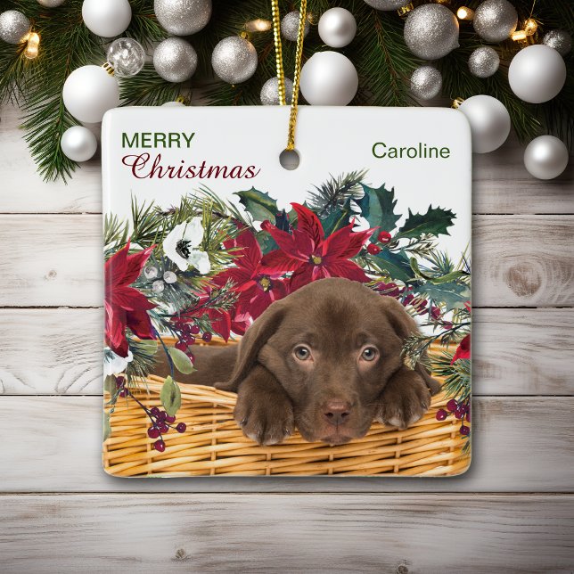 Ornamento De Cerâmica Poinsettia Chocolate Labrador Cesta de Natal (Criador carregado)