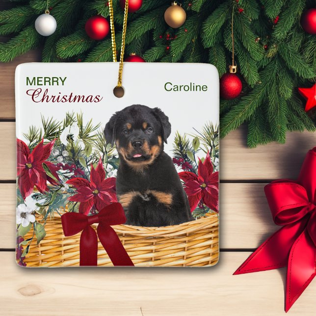 Ornamento De Cerâmica Poinsettia Rottweiler Puppy Cesta de Natal (Criador carregado)
