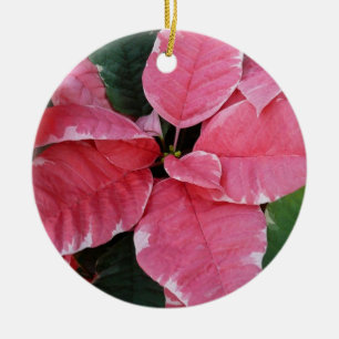 Ornamento De Cerâmica Poinsettias Rosa de Mármore Estrela de Prata Flora