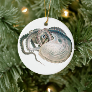 Ornamento De Cerâmica Polvo Argonauta Antigo, Animais da Vida Marinha