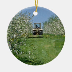 Ornamento De Cerâmica pomar de Apple branco que cultiva, flowe de Nova