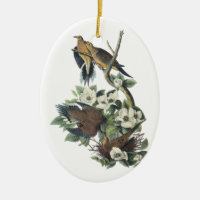 Pomba de lamentação, John Audubon
