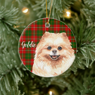 Ornamento De Cerâmica Pomerânia por Aquarela Personalizada