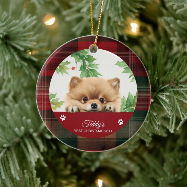 Ornamento De Cerâmica Pomeraniano Personalizado Primeiro Natal (Árvore)