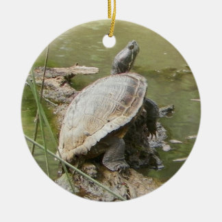 Ornamento De Cerâmica Pond Turtle