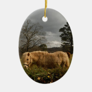 Ornamento De Cerâmica Pônea Loura Miniatura / Cavalo