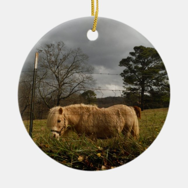 Ornamento De Cerâmica Pônea Loura Miniatura / Cavalo (Frente)