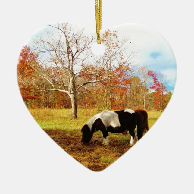 Ornamento De Cerâmica Pôneo/Cavalo de Miniatura Preta e Branca (Frente)