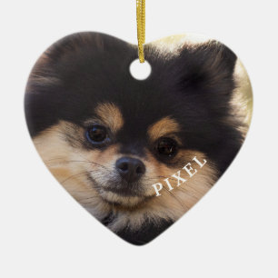 Ornamento De Cerâmica Ponte Arco-Íris Para Sempre Em Nossos Corações Pet