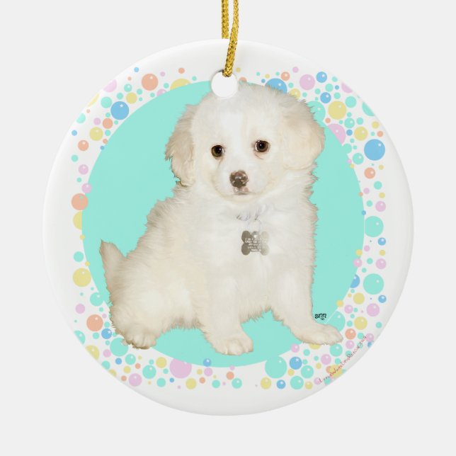 Ornamento De Cerâmica Poodle / Bichon Mix Puppy Celebra a Vida (Frente)