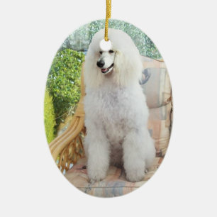 Ornamento De Cerâmica Poodle Padrão Branco