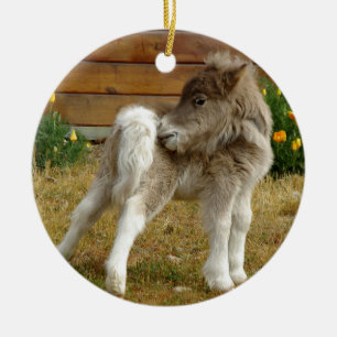 Ornamento De Cerâmica Poppy Pony