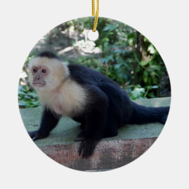 Ornamento De Cerâmica Portrait.JPG (Frente)