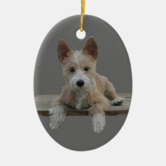 Ornamento De Cerâmica Português Podengo Pequeno do fio