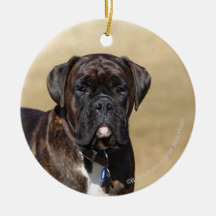 Ornamento De Cerâmica Posição rajado do cão do pugilista