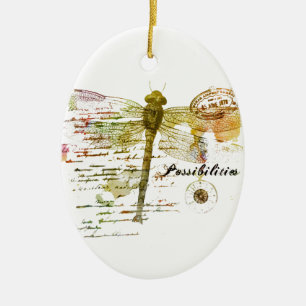Ornamento De Cerâmica Possibilidades libélula