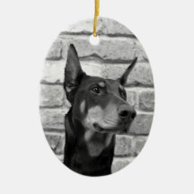 Posso Arruinar Seu Rosto