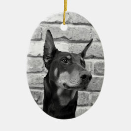 Ornamento De Cerâmica Posso Arruinar Seu Rosto