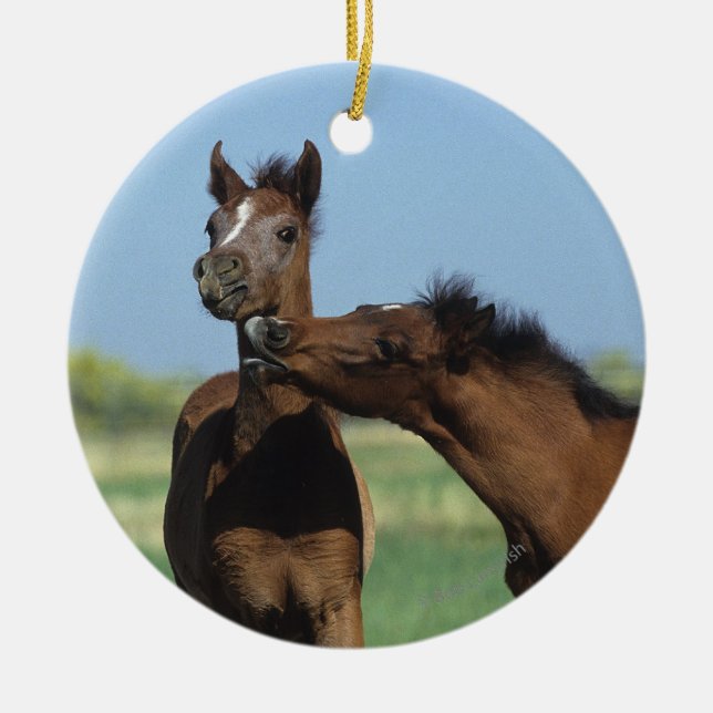 Ornamento De Cerâmica Potros que jogam 2 (Frente)