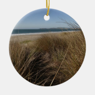 Ornamento De Cerâmica Praia Limantour em Point Reyes National Seashore I