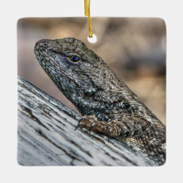 Ornamento De Cerâmica Prairie Lizard (Frente)