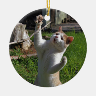 Ornamento De Cerâmica Predador feroz