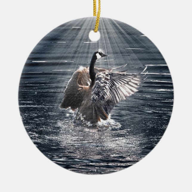 Ornamento De Cerâmica Preening, Flapping Wild Canada Goose Design (Frente)