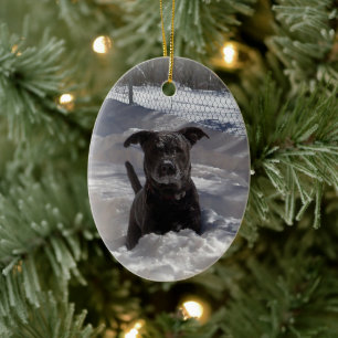 Ornamento De Cerâmica Presente de Natal com Foto de seu Pet ou Família