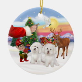 Ornamento De Cerâmica Presente para dois Bichon Frise