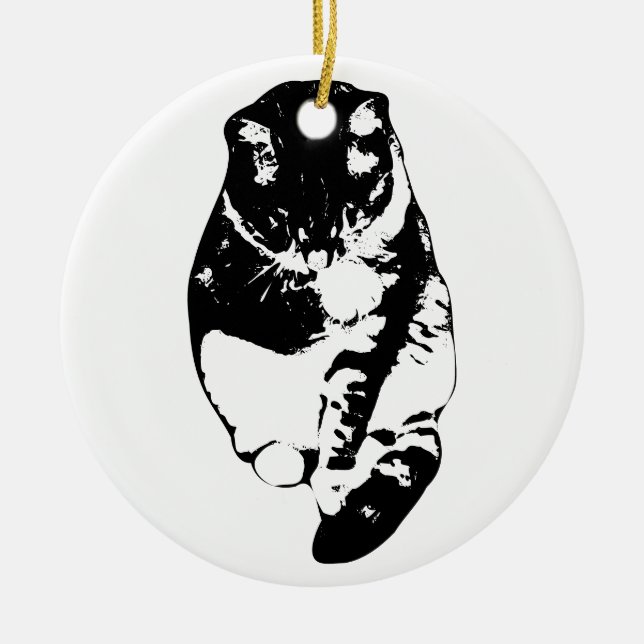 Ornamento De Cerâmica Presente Querido Whisker-Soft (Frente)