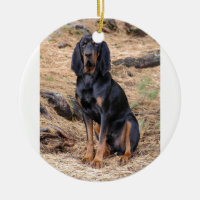 Preto e cão do Coonhound de Tan