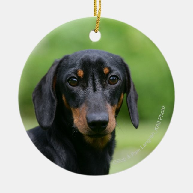 Ornamento De Cerâmica Preto e Dachshund 1 de Tan Miniture (Frente)