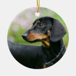 Ornamento De Cerâmica Preto e Dachshund 2 de Tan Miniture