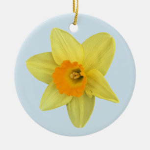 Ornamento De Cerâmica Primavera amarelo Daffodil em azul pálido