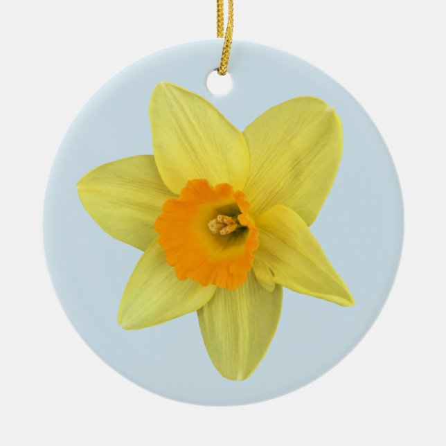 Ornamento De Cerâmica Primavera amarelo Daffodil em azul pálido (Frente)