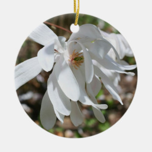 Ornamento De Cerâmica Primavera Branco Magnolia Flor de Flor de Flor de 